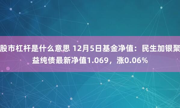 股市杠杆是什么意思 12月5日基金净值：民生加银聚益纯债最新净值1.069，涨0.06%