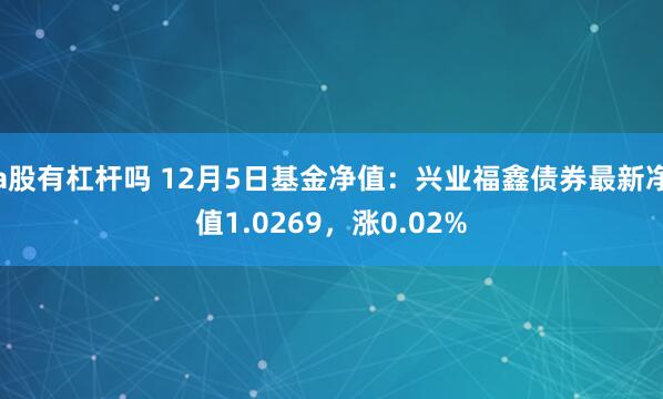 a股有杠杆吗 12月5日基金净值：兴业福鑫债券最新净值1.0269，涨0.02%