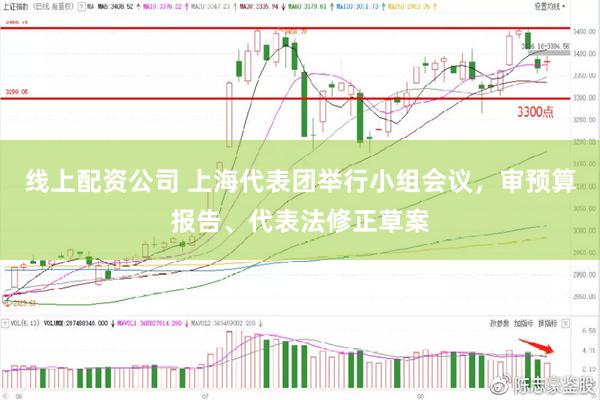 线上配资公司 上海代表团举行小组会议，审预算报告、代表法修正草案