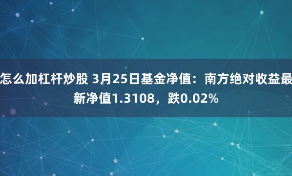 怎么加杠杆炒股 3月25日基金净值：南方绝对收益最新净值1.3108，跌0.02%