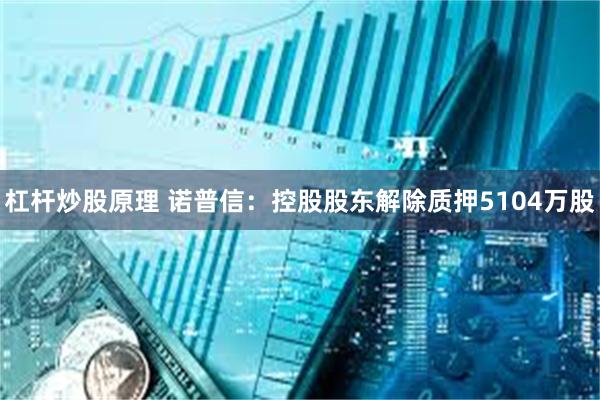杠杆炒股原理 诺普信：控股股东解除质押5104万股