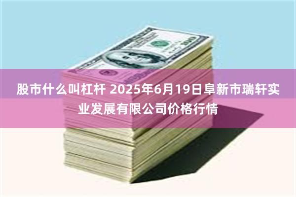 股市什么叫杠杆 2025年6月19日阜新市瑞轩实业发展有限公司价格行情