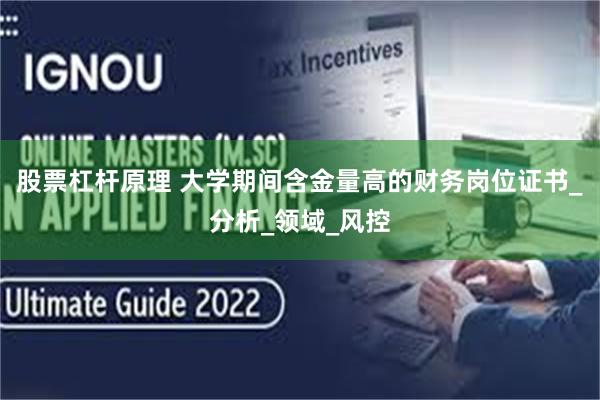 股票杠杆原理 大学期间含金量高的财务岗位证书_分析_领域_风控