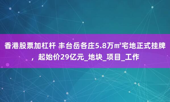 香港股票加杠杆 丰台岳各庄5.8万㎡宅地正式挂牌，起始价29亿元_地块_项目_工作