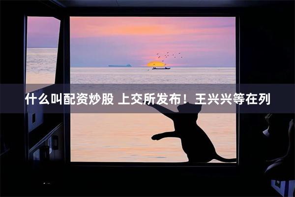 什么叫配资炒股 上交所发布！王兴兴等在列