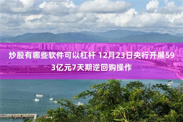 炒股有哪些软件可以杠杆 12月23日央行开展593亿元7天期逆回购操作