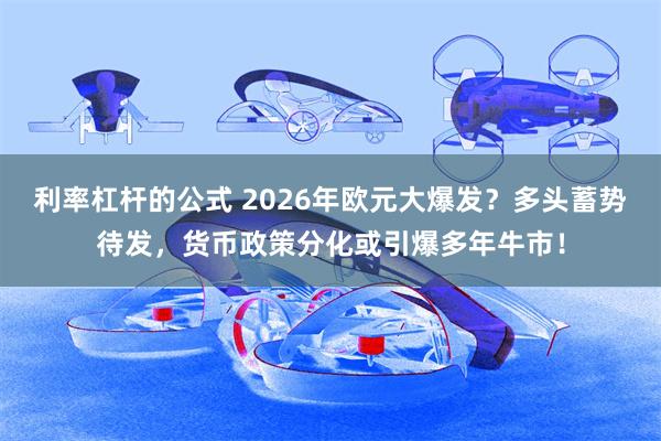 利率杠杆的公式 2026年欧元大爆发？多头蓄势待发，货币政策分化或引爆多年牛市！